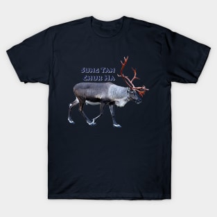 Sung Tan Chuk Ha T-Shirt